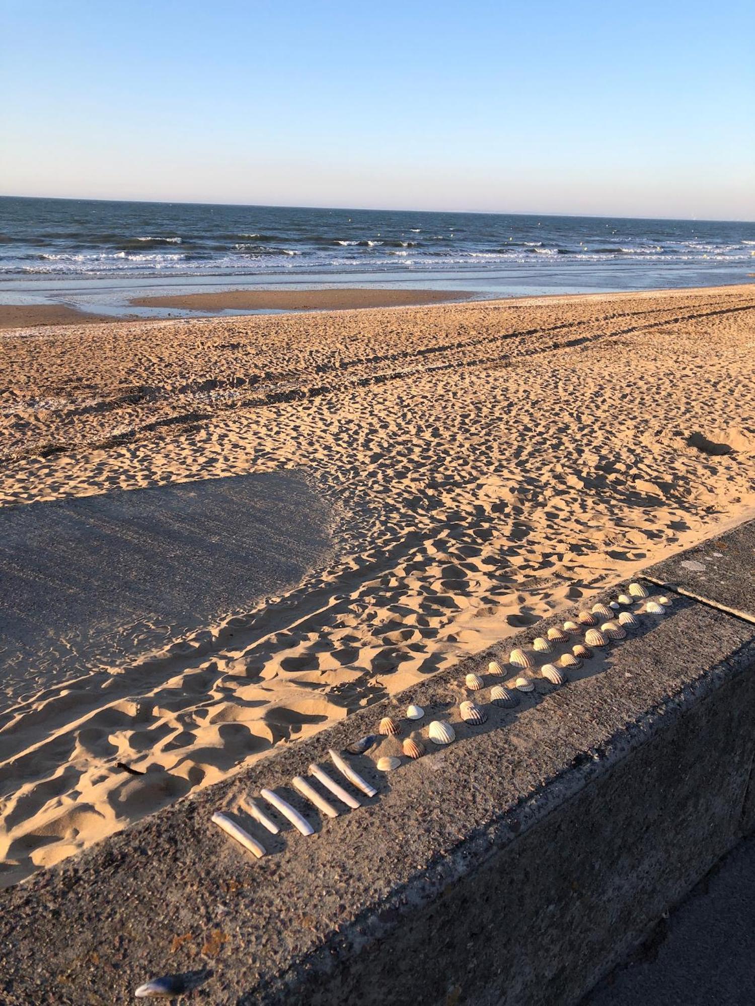 Le Petit Navire - Acces Direct Plage Cabourg Exterior foto