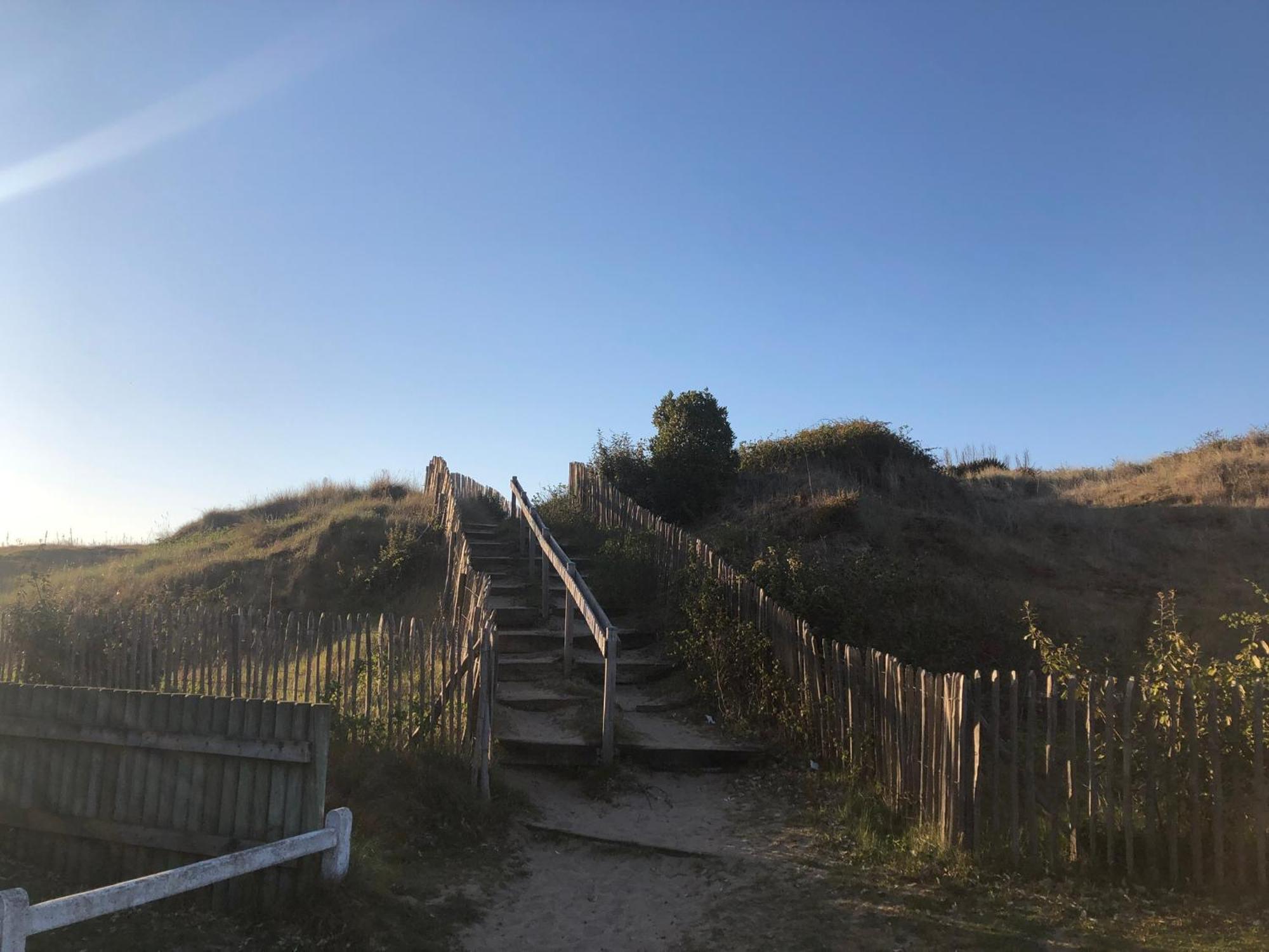 Le Petit Navire - Acces Direct Plage Cabourg Exterior foto